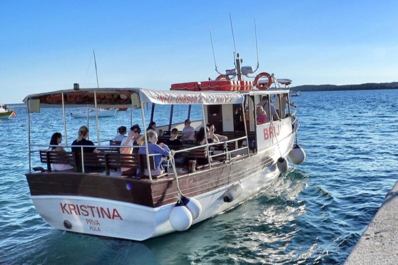 Fazana: dolphin safari and sightseeing in Brijuni at sunset - What to Expect on the Dolphin Safari in Brijuni