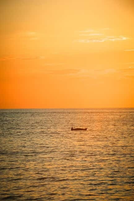 Fazana: Dolphin/Sunset Tour - Why Youll Love the Fazana Dolphin/Sunset Tour