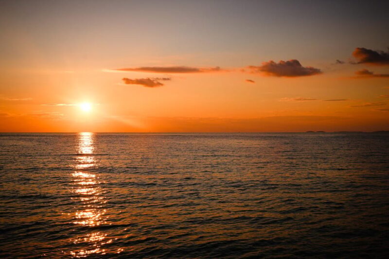 Fazana: Dolphin/Sunset Tour - Authentic Experiences and Traveler Feedback