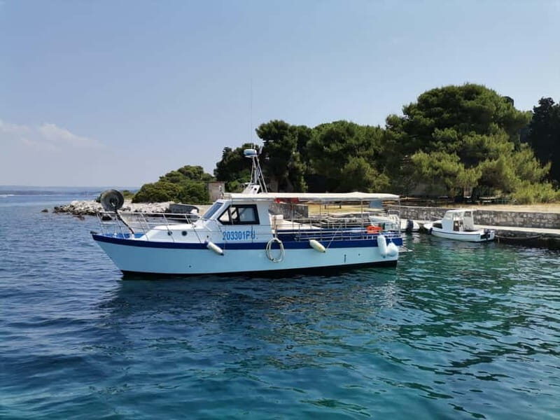 Fazana: Panorama N.P. Brijuni + St. Jerolim Island Stop - Who Is This Tour Best For?