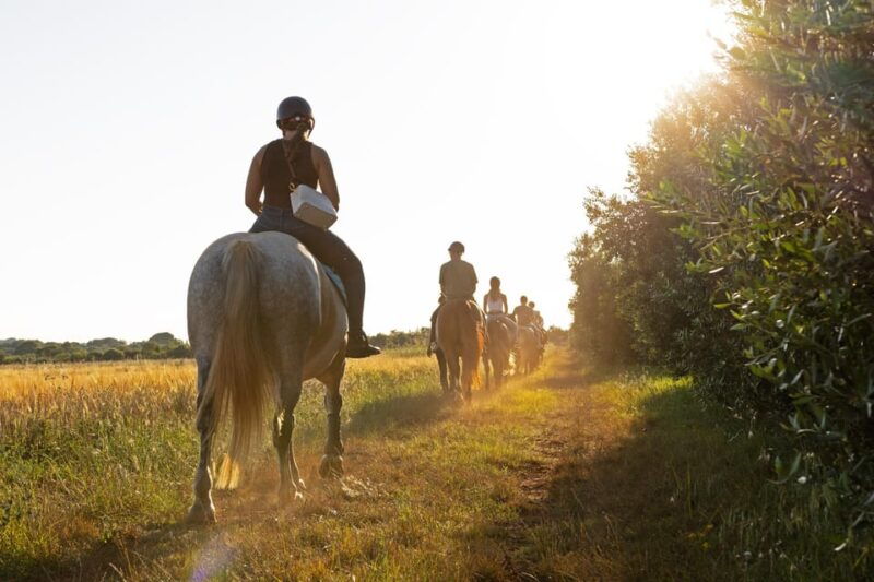fazana-sunset-1-hour-horse-riding-in-nature-with-guide