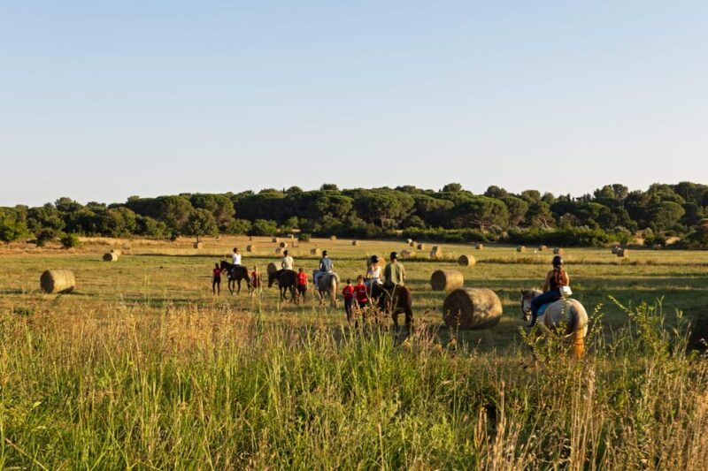 fazana-sunset-1-hour-horse-riding-in-nature-with-guide