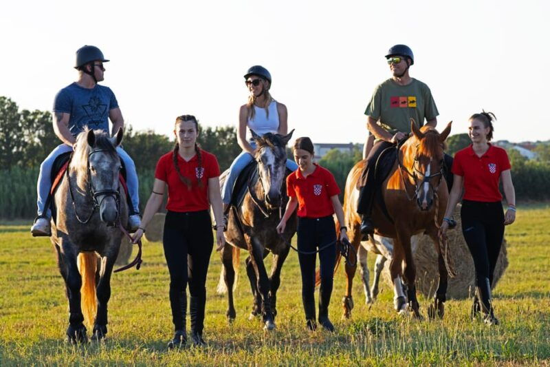 fazana-sunset-1-hour-horse-riding-in-nature-with-guide