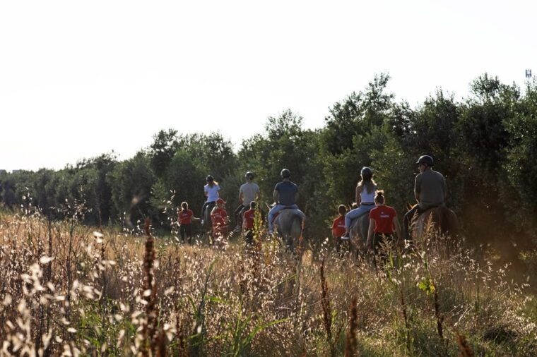 fazana-sunset-1-hour-horse-riding-in-nature-with-guide