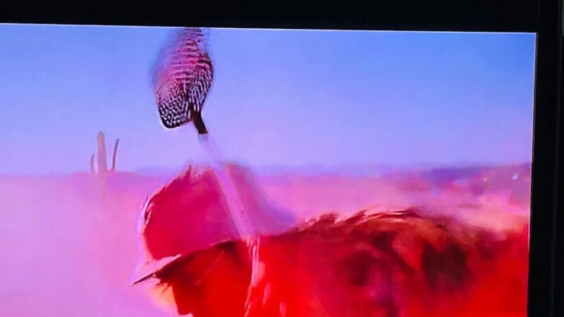 fear-and-loathing-experience