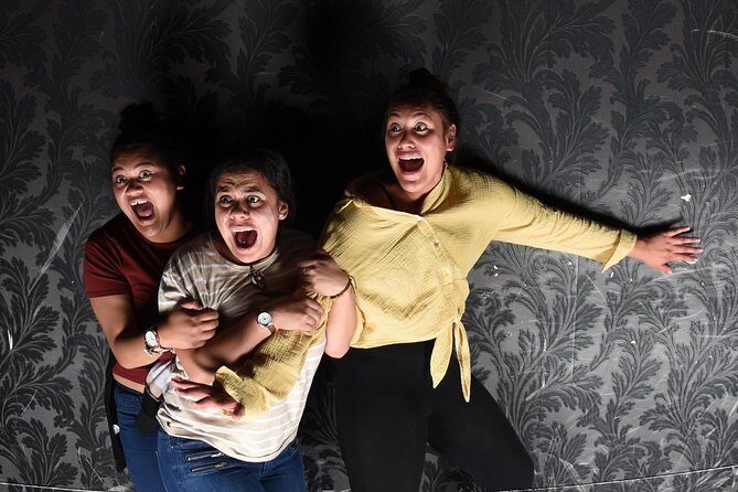 Fear Factory Queenstown - Authentic Insights from Reviewers
