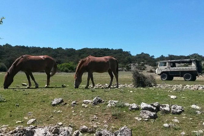 feel-and-taste-island-brac-with-local-experts-island-adventure-to-remember