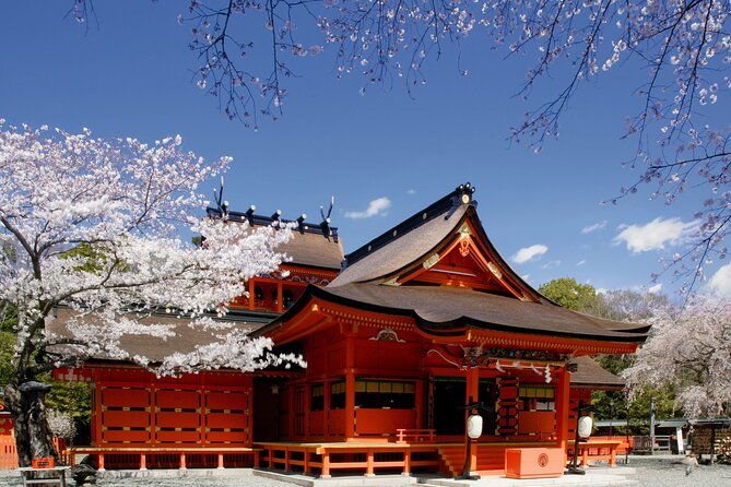 feel-mt-fuji-and-sake-tasting-private-tour-from-in-shizuoka