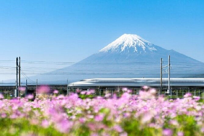 feel-mt-fuji-and-sake-tasting-private-tour-from-in-shizuoka