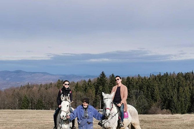 feel-serbia