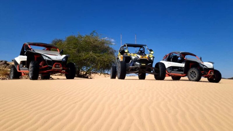 Feel the Power: 1-Hr UTV Dune Driving Experience in Bidiyah - An In-Depth Look at the UTV Dune Experience in Bidiyah