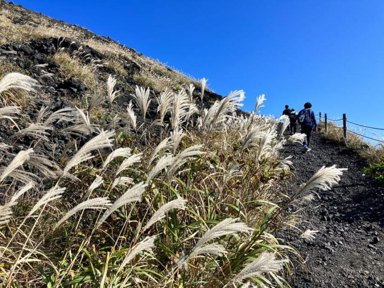 feel-the-volcano-by-trekking-at-mt-mihara