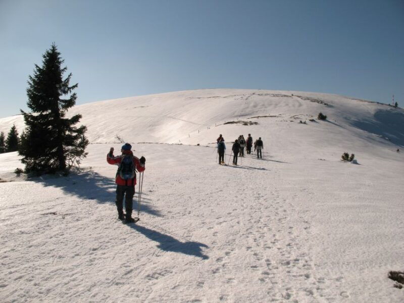 feldberg-guided-snowshoeing-tour-in-the-black-forest
