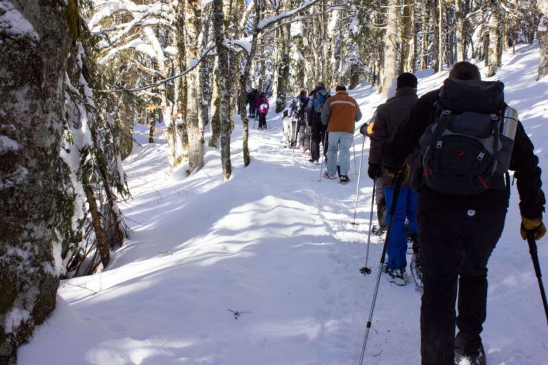 feldberg-guided-snowshoeing-tour-in-the-black-forest