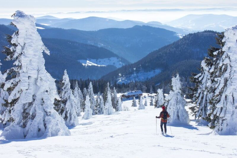 feldberg-guided-snowshoeing-tour-in-the-black-forest