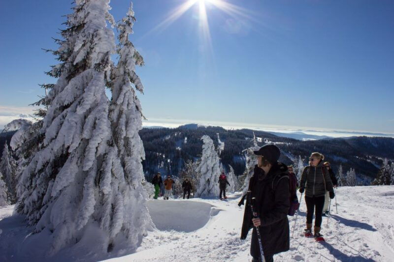 feldberg-guided-snowshoeing-tour-in-the-black-forest
