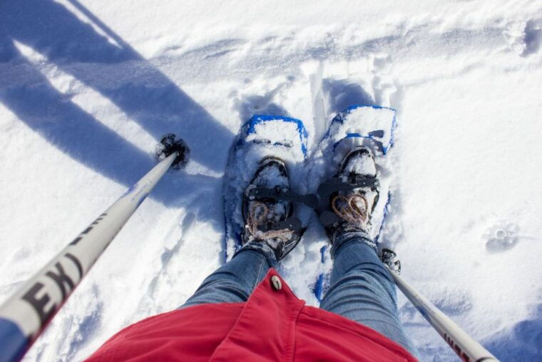 feldberg-guided-snowshoeing-tour-in-the-black-forest