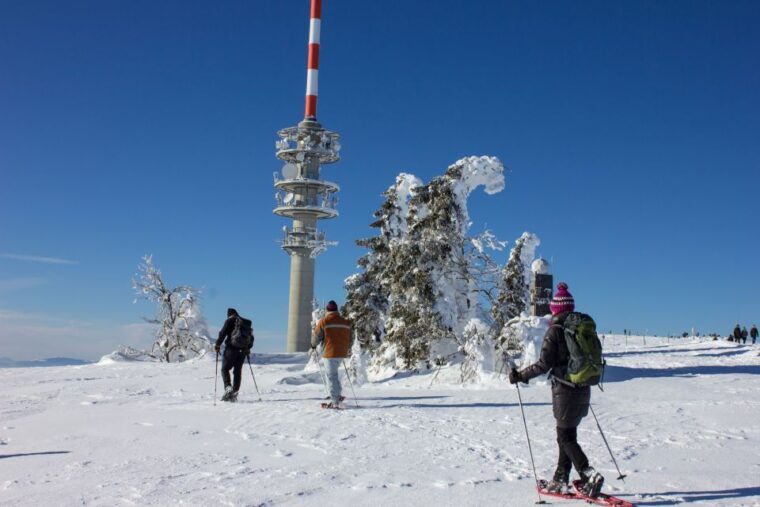 feldberg-guided-snowshoeing-tour-in-the-black-forest