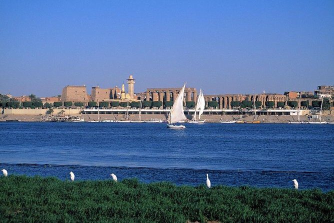 Felucca in Luxor Amazing Sunset sailing {Private} 2 Hours - Authentic Insights From Reviews