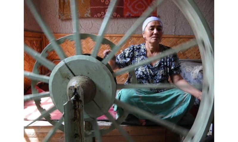 Fergana - Golden Valley From Tashkent 1 night / 2 days - Transportation and Logistics