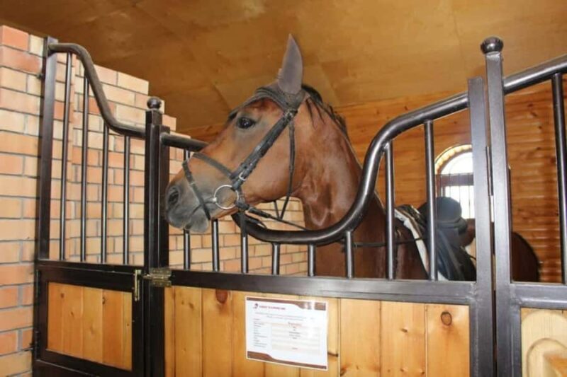 Fergana: Valley Horses Complex Tour with Horse Riding - Learning About the Karabair Breed