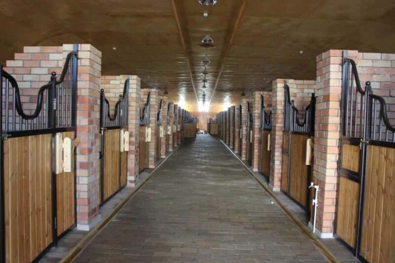 Fergana: Valley Horses Complex Tour with Horse Riding - Why This Tour Is Worth Considering