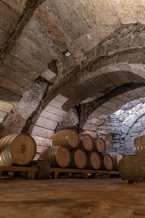 fermoselle-visit-to-the-historical-winery-with-wine-tasting