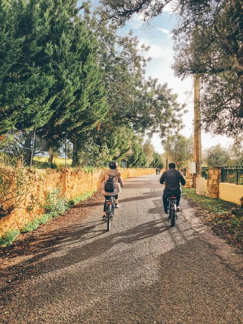 ferragudo-explore-in-style-with-fat-bikes