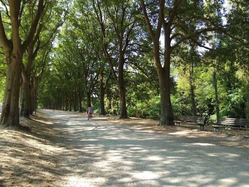 Ferrara: Private City Highlights Guided Bike Tour - Key Points