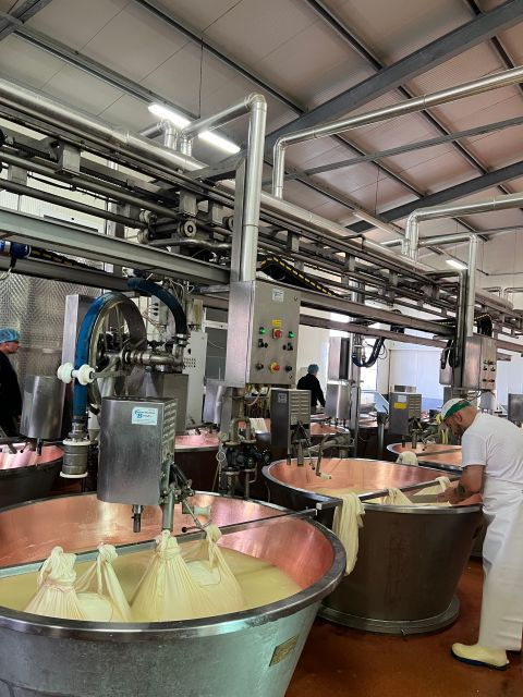 ferrari-museum-parmesan-cheese-balsamic-vinegar-food-tour