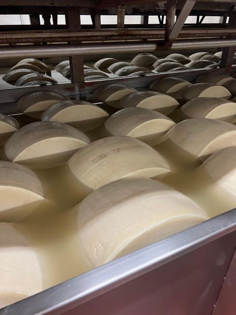 ferrari-parmesan-and-balsamic-day-tour-from-bologna-2