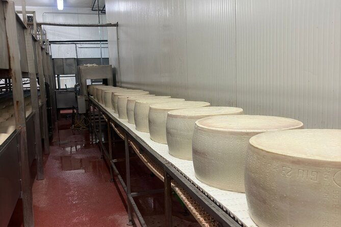 ferrari-parmesan-and-balsamic-day-tour-from-bologna