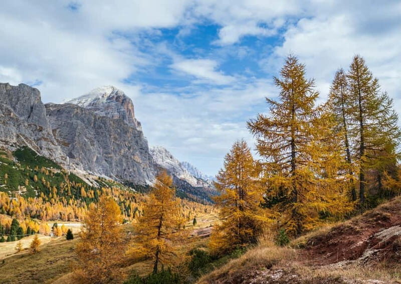 Ferrata degli Alpini: panoramic route at Passo Falzarego - Who Should Consider This Tour?