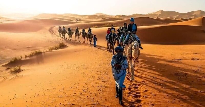 Fès: 2 Days Desert Trip to Merzouga (1 Night), Marrakech - Key Points
