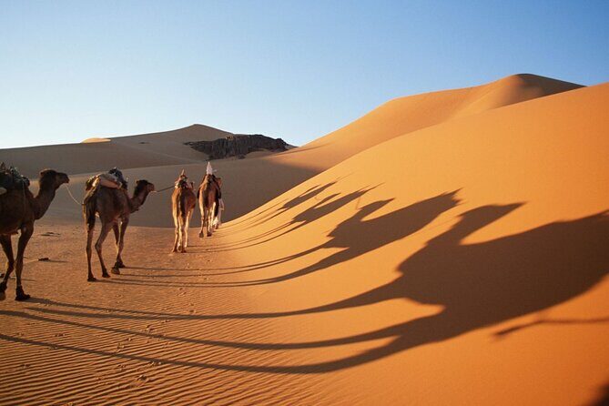 fes 3 days desert tour - FAQs