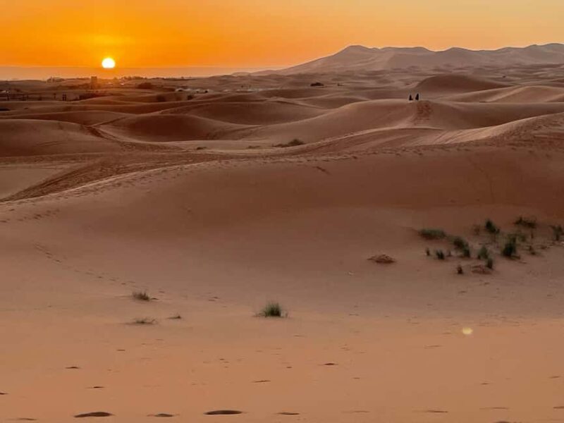 Fes: 3 Days Desert Tour from Fes back to Fez - Who is this tour best suited for?