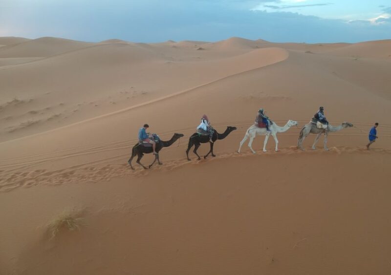 fes desert tour 3 days - Key Points