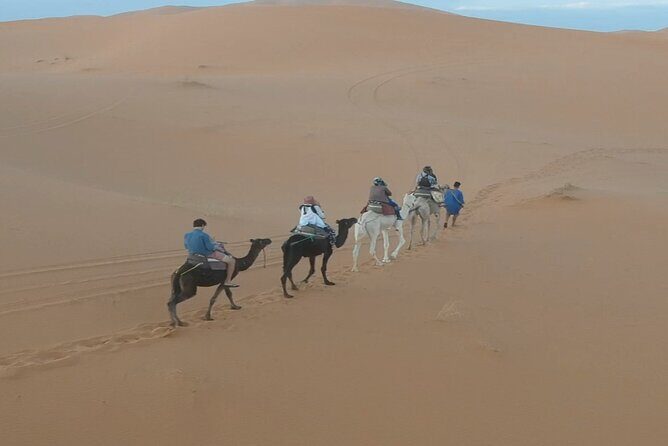 Fes desert tour 3 days - Who Should Consider This Tour?