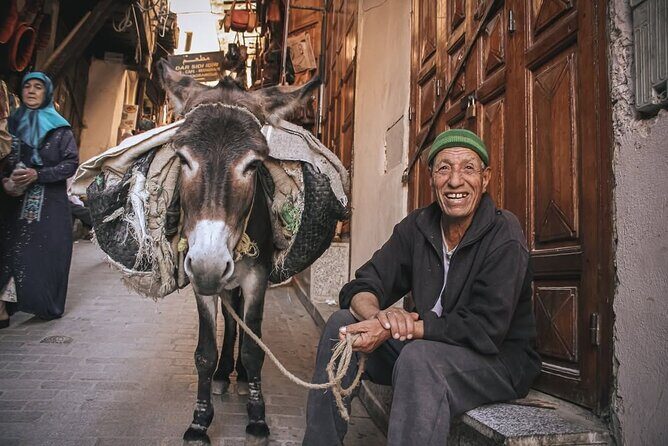 Fes Medina Walking Tour - Key Points