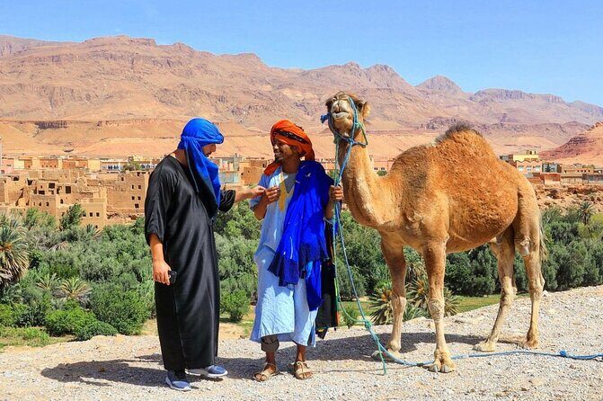 Fes Private full Day Trip from Tangier & back with Transport - Key Points