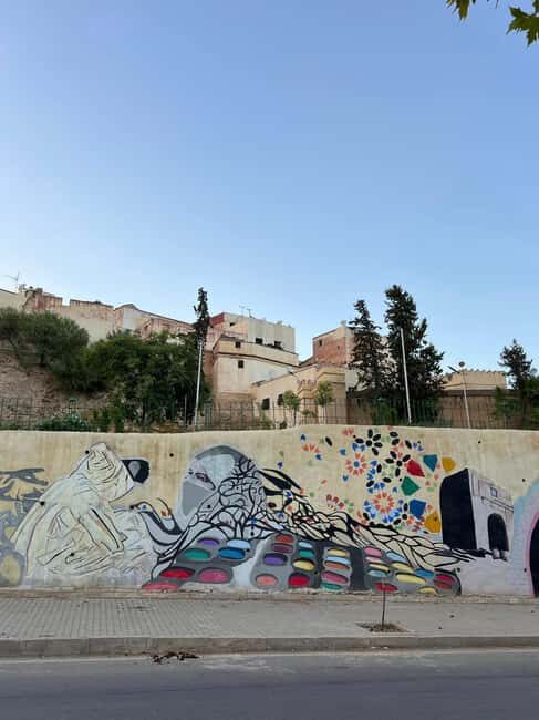 Fes Private Guided Sightseeing Tour - Key Points