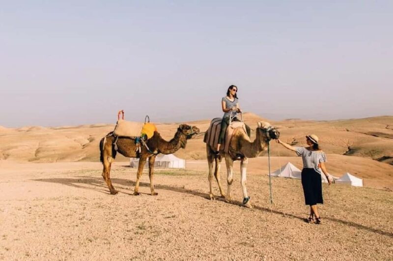 Fes: Quad Biking & Camel Photo Experience with Moroccan Tea - Detailed Breakdown of the Experience