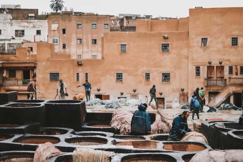 Fes: Royal Palace, Madrasa, Tannery & Souks and Medina Tour - Authentic Insights from Reviewers