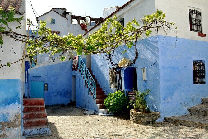 fes to chefchaouen day trip - What to Expect on the Tour