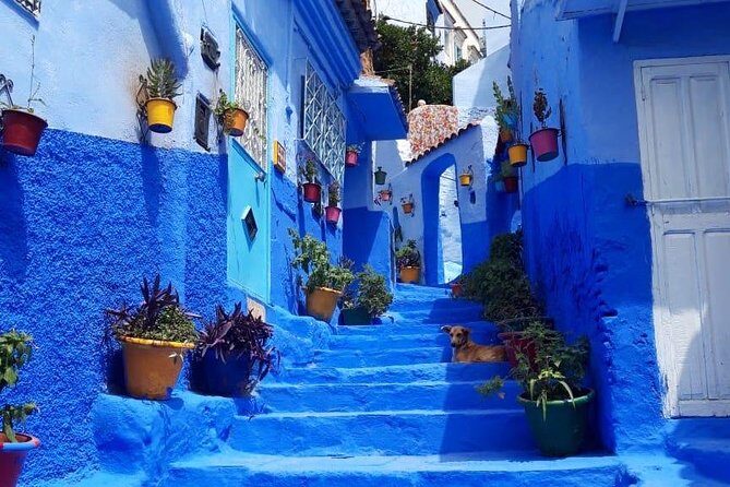 Fes to Chefchaouen Day Trip - A Deep Dive into the Experience
