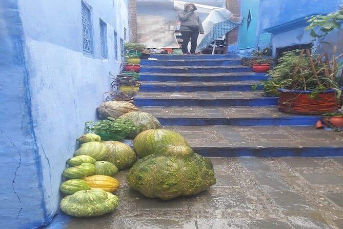 Fes to chefchaouen day trip - Key Points