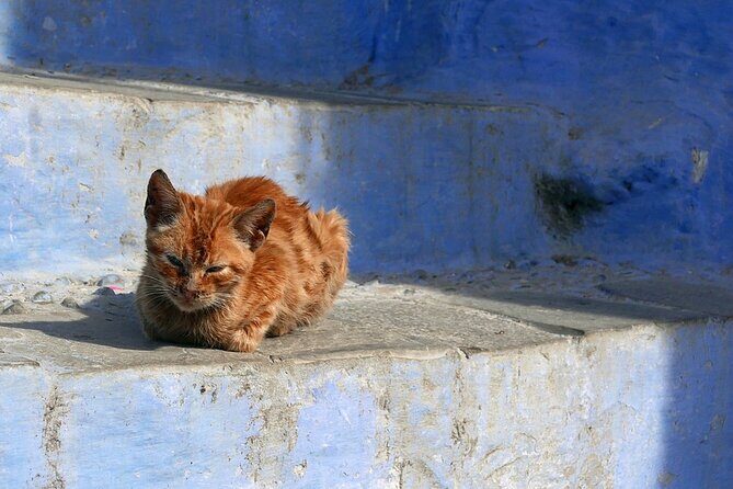 Fes to Chefchaouen day trip - FAQ