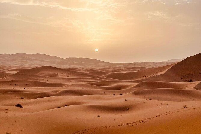Fes to Desert journey through the heart of Morocco - The Experience’s Strengths