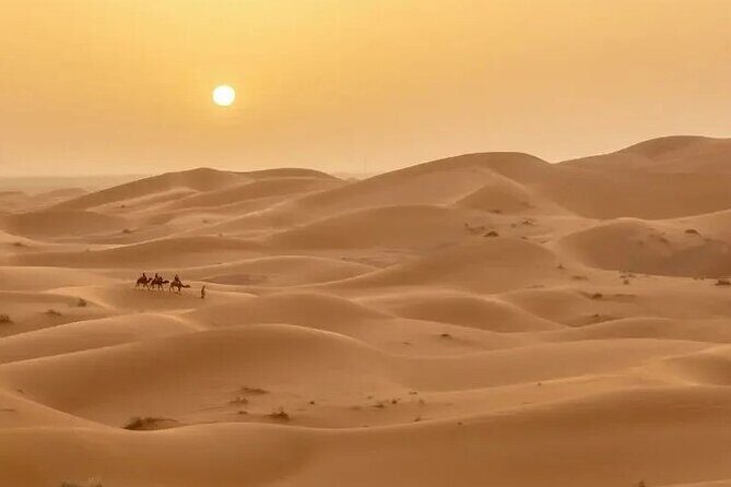 Fes to Desert journey through the heart of Morocco - Who Is This Tour Best For?