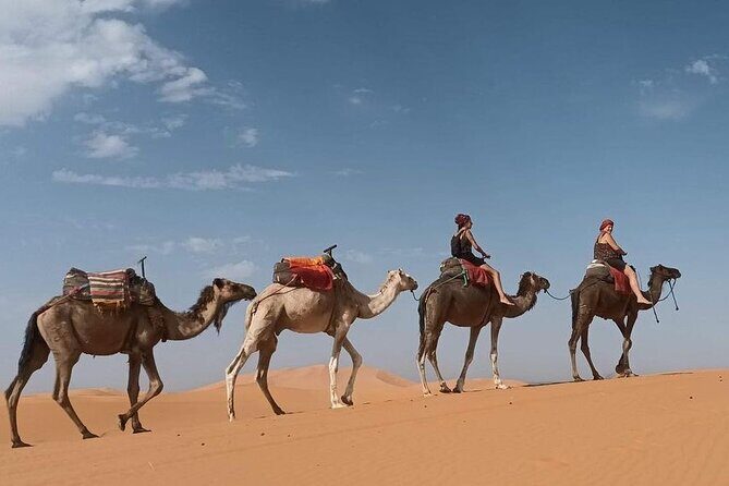 Fes to Desert journey through the heart of Morocco - Final Thoughts